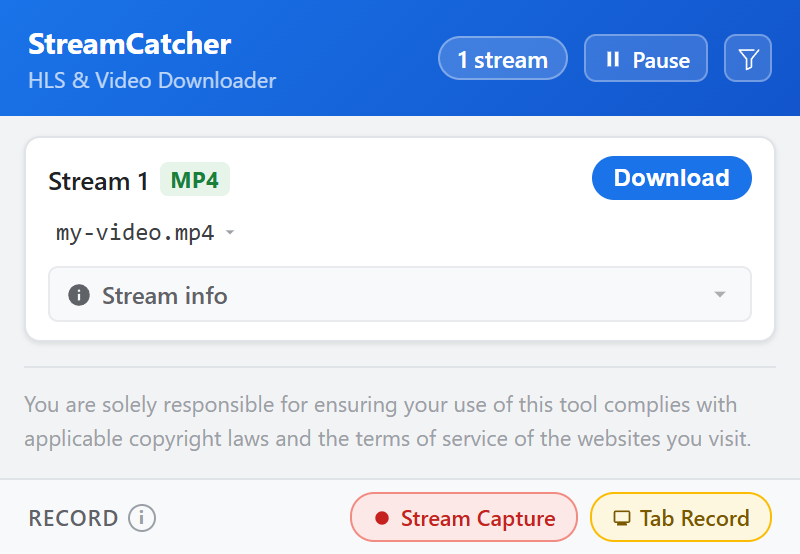 Example MP4 in the extension: use Download beside the stream, or the recording controls at the bottom.
